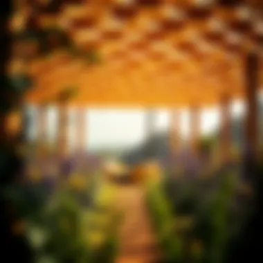 Magnificent Hatta Honey Bee Garden: A Unique Exploration of Biodiversity and Sustainable Practices Magnificent Hatta Honey Bee Garden: A Unique Exploration of Biodiversity and Sustainable Practices