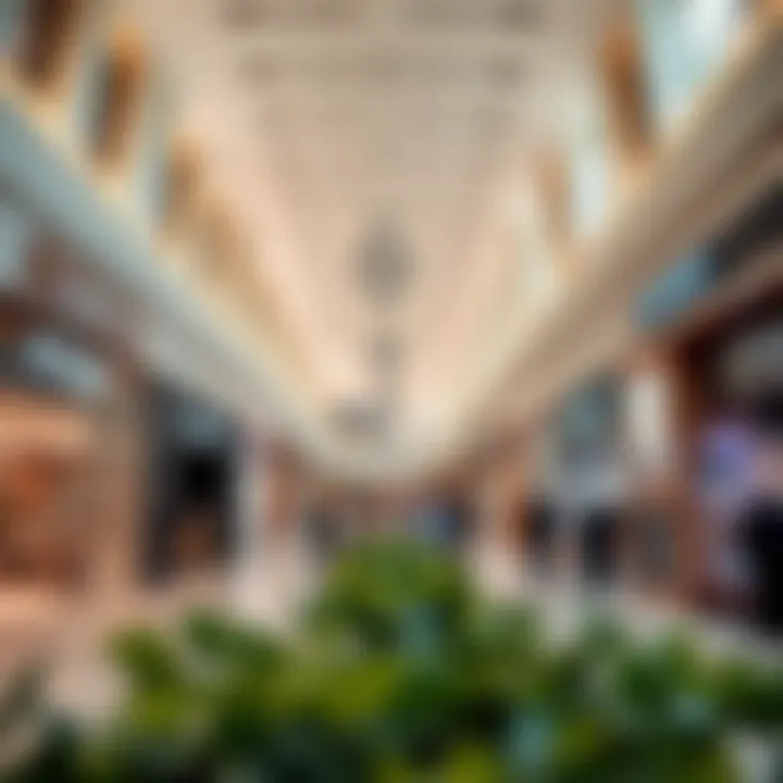 Interior shot of Ajman Grand Mall highlighting diverse retail options