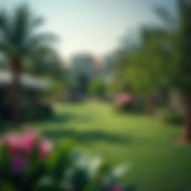 Lush green spaces within Al Bahya neighborhood
