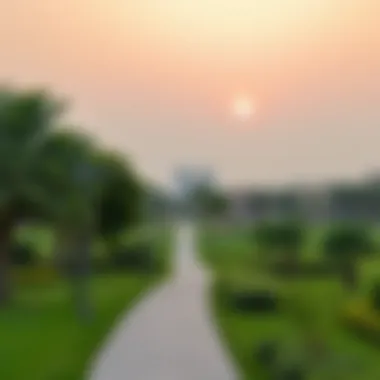 Lush green parks and recreational areas in Al Waha