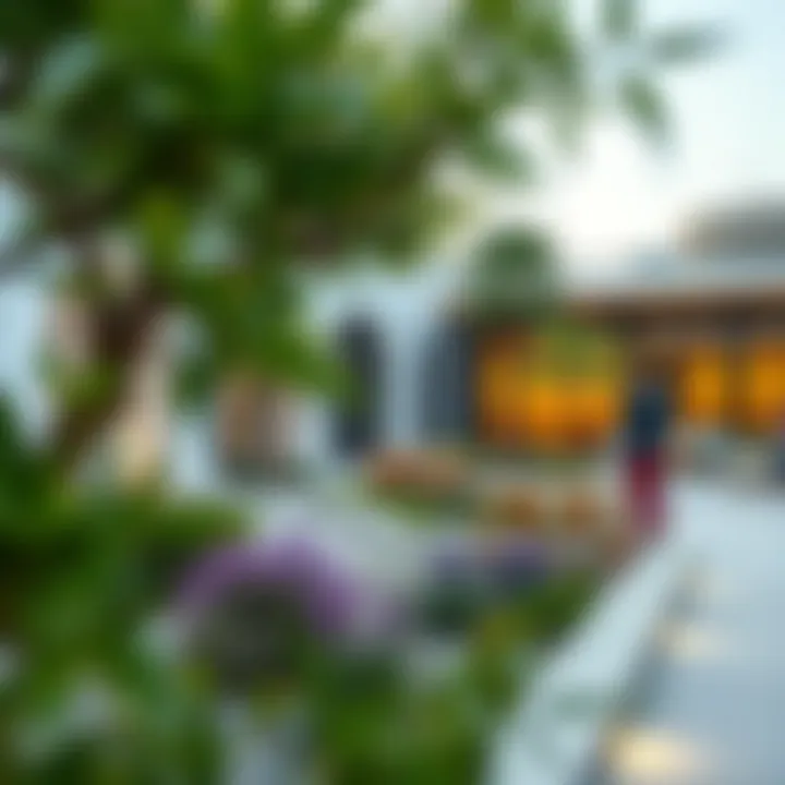 A community space featuring an aura garden promoting outdoor activities in Dubai