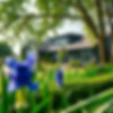 Lush Greenery of Blue Bells Serene landscape view of Blue Bells with lush greenery