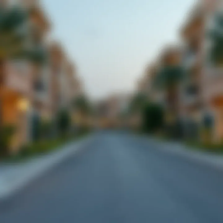 Residential Life in Dubai Calm residential area in Dubai