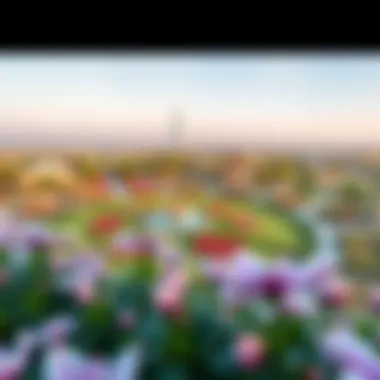 A panoramic view of the Flower Garden's landscape