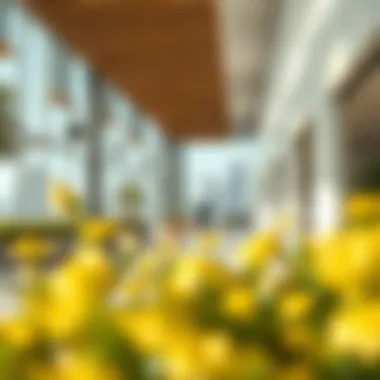 Expatriates navigating the visa landscape