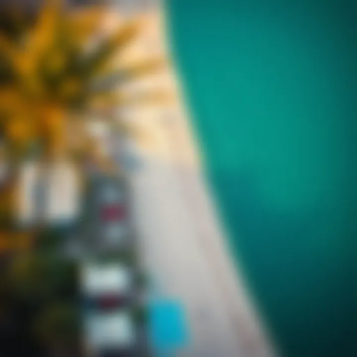 Aerial view showcasing Alaya Beach's stunning coastline