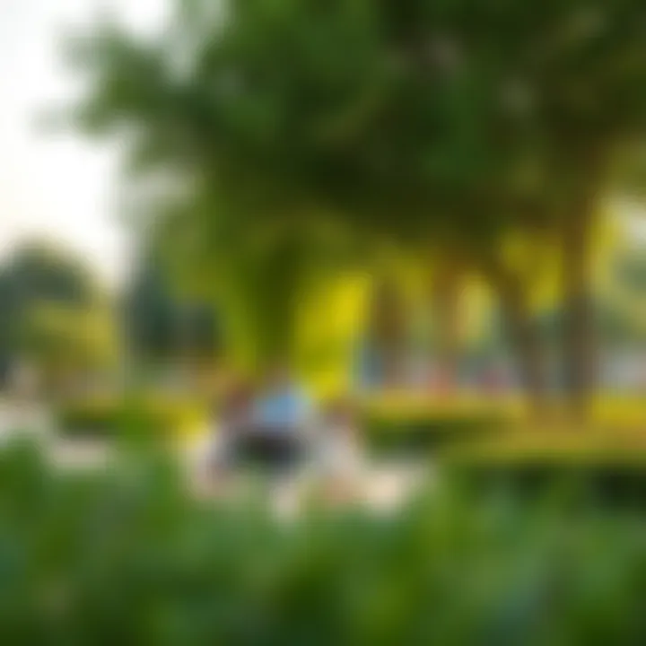 Families enjoying leisure time at one of Dubai's expansive parks