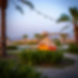 Exploring Expo Lake: A Comprehensive Guide to Camping in Dubai Introduction