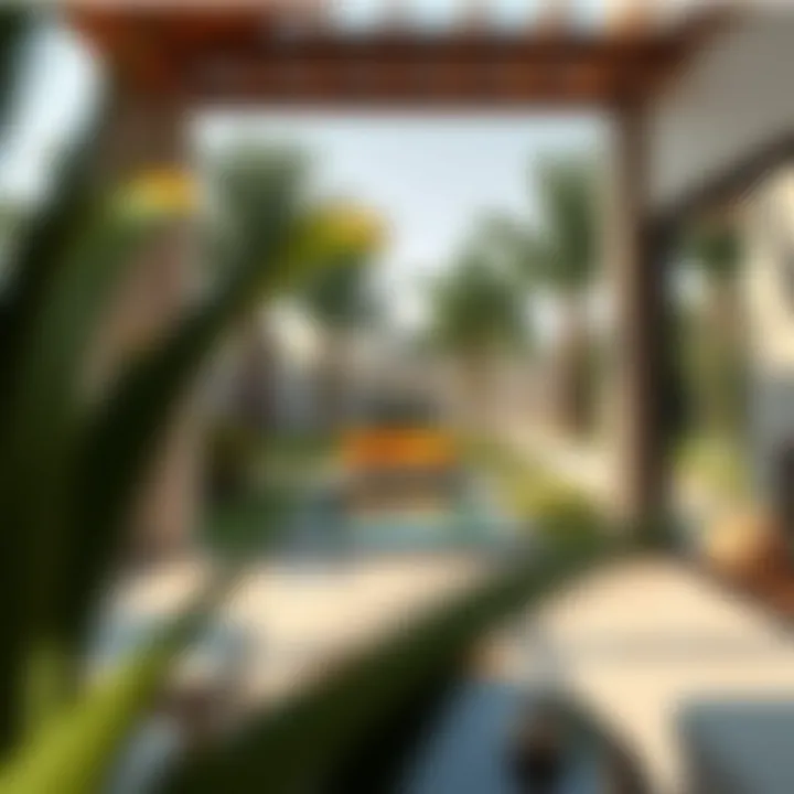 Serene garden view from a Muhaisnah villa