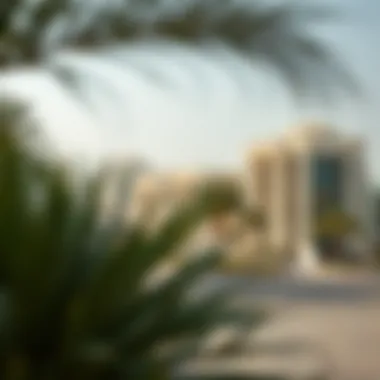 Investment opportunities in Noya Aldar