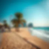 Exploring Public Beaches in Dubai: A Comprehensive Guide Introduction