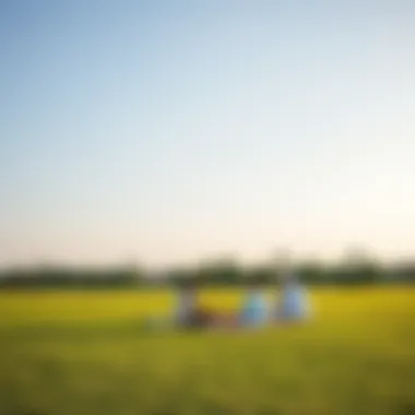 Family Picnic Spot in Rashidiya Park Family picnicking on the grass under a clear sky