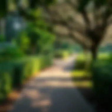 Scenic Walking Path in Rashidiya Park Serene walking path surrounded by lush greenery