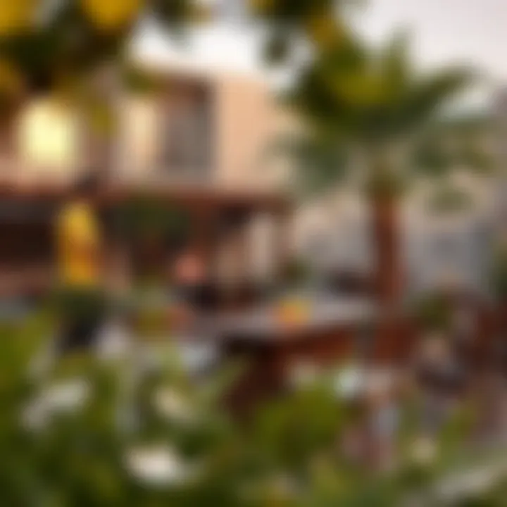 Vibrant community spaces within مراد مول