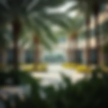 A community park with lush greenery and sustainable features in Dubai