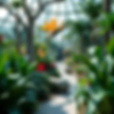 Botanical diversity showcasing rare plant species