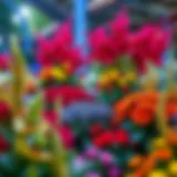 Vibrant flower arrangements in the Magical Garden