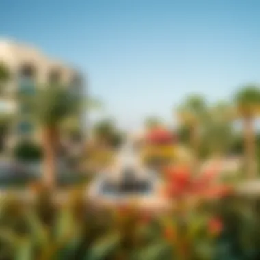 A panoramic view of a garden emphasizing biodiversity