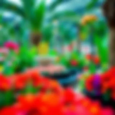 A vibrant floral display in Dubai's botanical garden