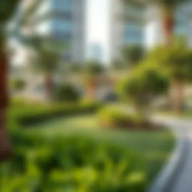 Sustainable landscaping practices in a Dubai park, highlighting eco-friendly initiatives