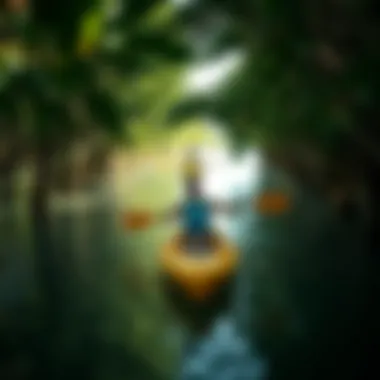 Adventure in the Mangroves Kayakers navigating through the vibrant mangroves, highlighting eco-tourism activities