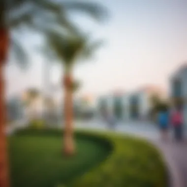 Community park highlighting lifestyle features in Sharjah