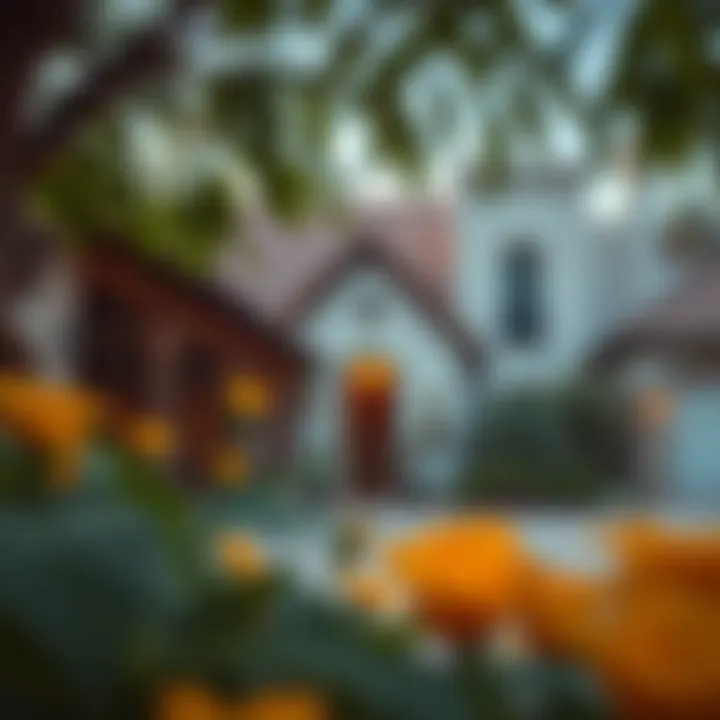 Cultural significance of traditional homes in the community