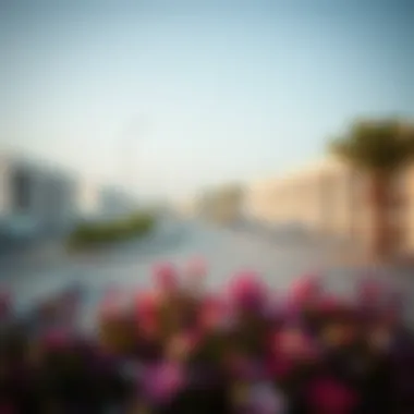 Promising Real Estate Opportunities by the Beachfront Real estate opportunities near Sharjah beach