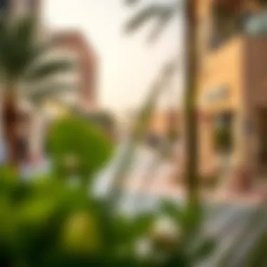 Local Amenities Enhancing Life in Ajman Local amenities in Ajman, including parks and shops