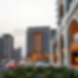 Exploring the Role and Impact of Danube Developers in Dubai's Real Estate Landscape Introduction