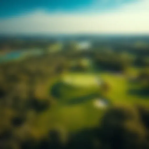 Aerial View of a Renowned Golf Course A breathtaking aerial view of a renowned golf course nestled within lush landscapes