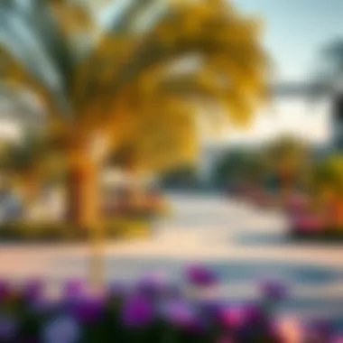 Scenic parks and recreational areas in Wasl Village promoting wellness