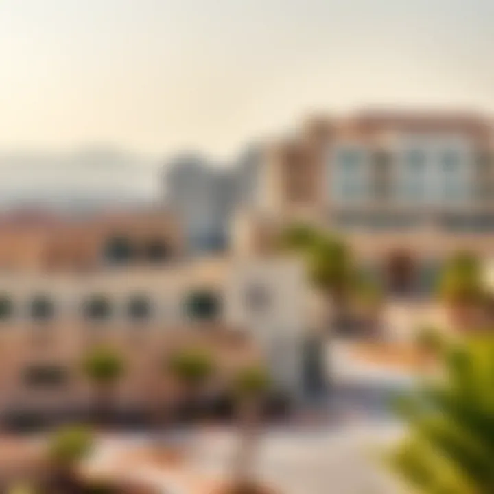 Real Estate Landscape in Al Quoz Overview of Al Quoz's real estate opportunities
