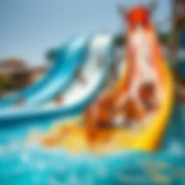 Exciting Water Slide Experience Visitors enjoying a thrilling water slide at Wild Wadi