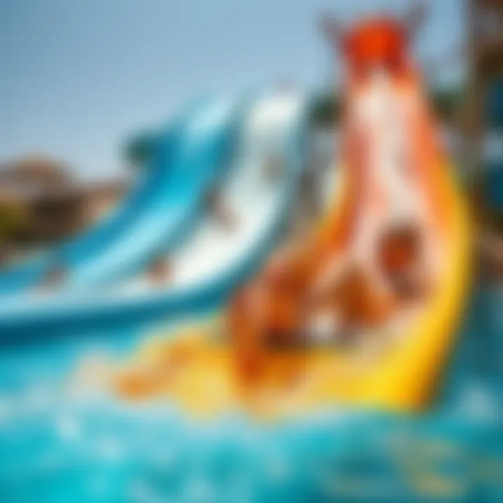 Exciting Water Slide Experience Visitors enjoying a thrilling water slide at Wild Wadi