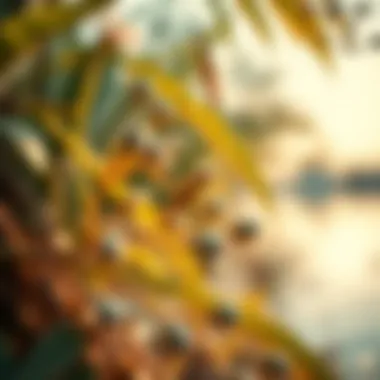 A close-up of the unique flora and fauna thriving around Love Lake, highlighting its ecological importance