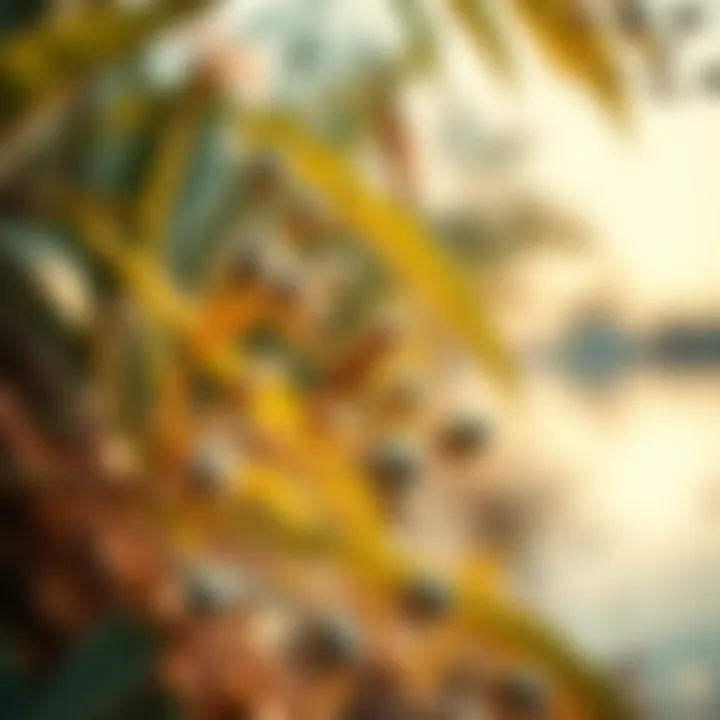 A close-up of the unique flora and fauna thriving around Love Lake, highlighting its ecological importance