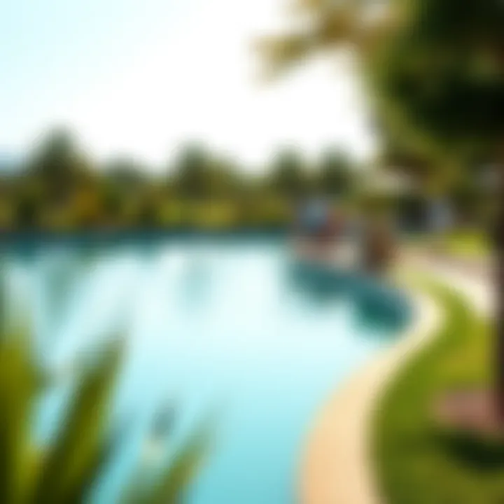 Visitors enjoying the serene atmosphere around Love Lake with lush greenery and picturesque surroundings