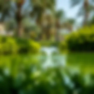 Tranquil Waters of Mushrif Park Serene water feature surrounded by greenery