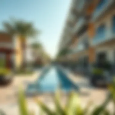 Community Amenities Enhancing Lifestyle in Dubai Community amenities in a Dubai neighborhood