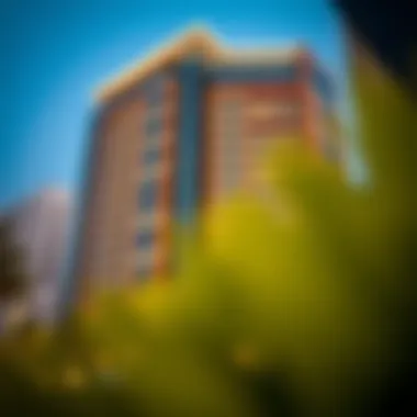 Investment Insights and Market Trends of Nesto Building Market trends and investment insights related to Nesto Building