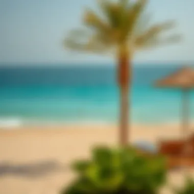 Serene view of Pearl Beach with golden sands and turquoise waters