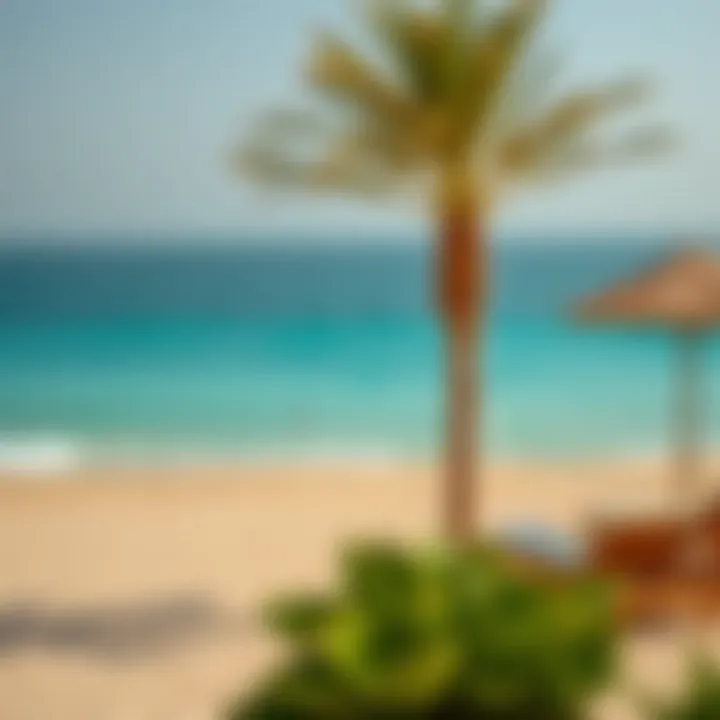 Serene view of Pearl Beach with golden sands and turquoise waters