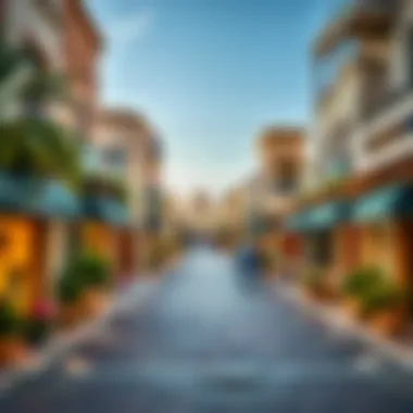 Cultural Hub: The Heart of Dubai's Neighborhoods Vibrant neighborhood showcasing local culture and lifestyle