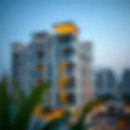 Renting a One BHK in Dubai: Insights and Considerations Introduction