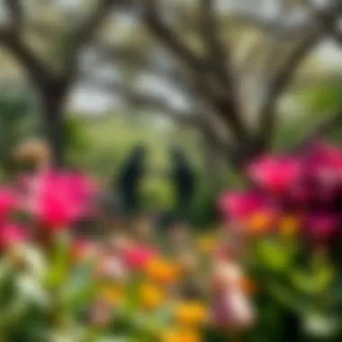 A vibrant ecosystem within Safari Dubai Park highlighting diverse flora and fauna.