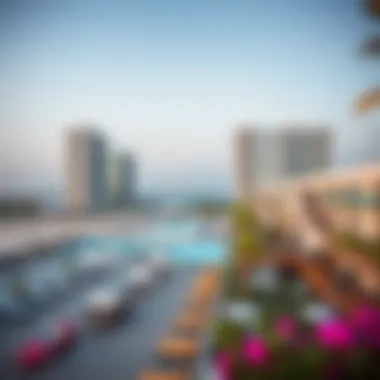 Investment Insights on Seapoint Investment potential overview of Seapoint