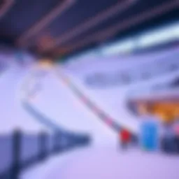 Indoor skiing slope at Dubai Mall