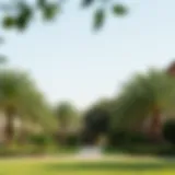 Lush greenery in Tawayya Park