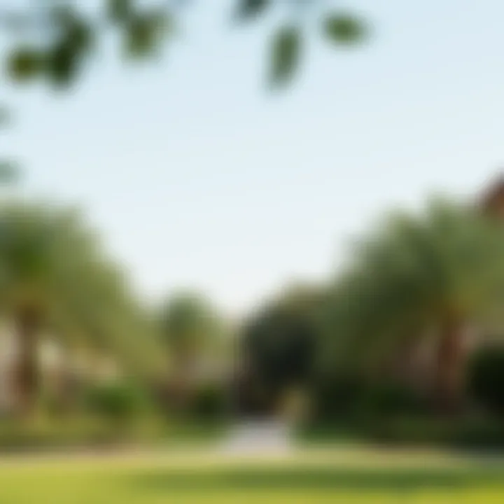 Lush greenery in Tawayya Park